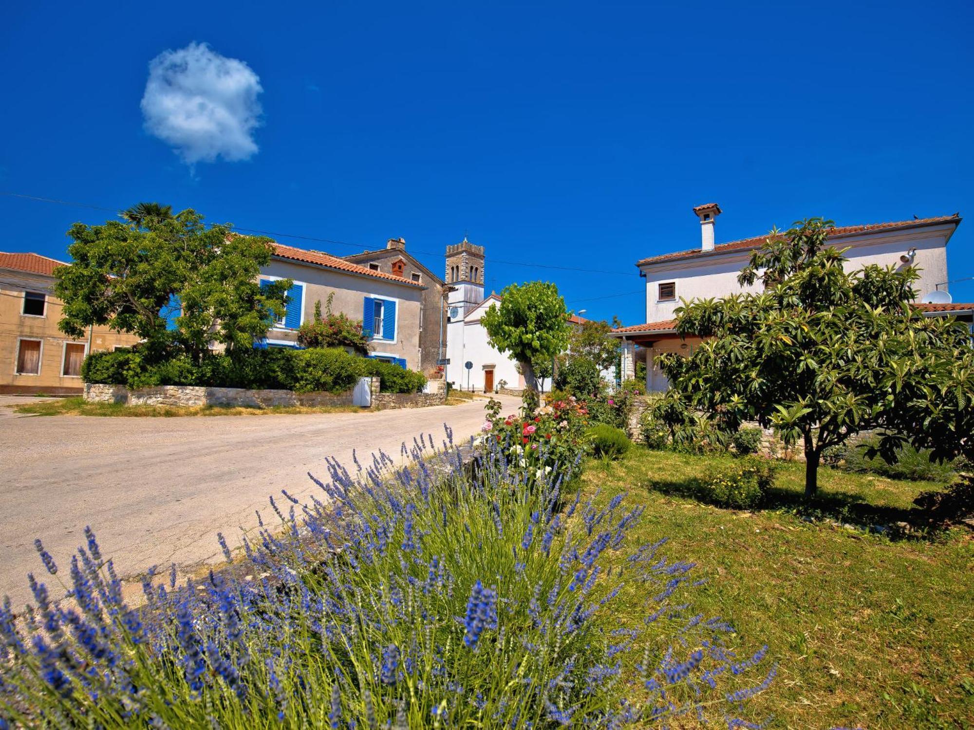 Holiday Home Villa Lucky Brtonigla Dış mekan fotoğraf